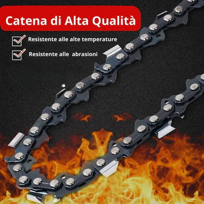 Motosega a Batteria per Potatura, Sega Elettrica 12 Pollici, con 2 Batterie
